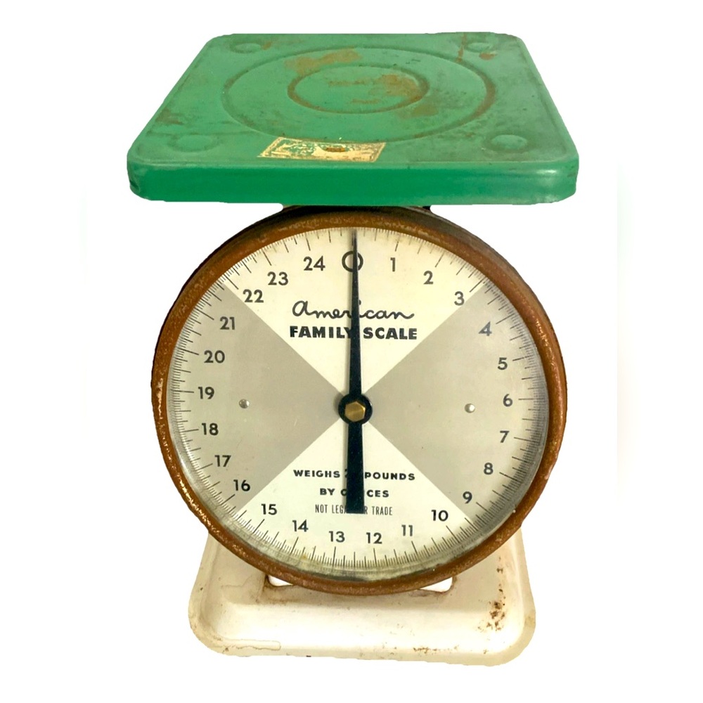 Vintage American Family Scale